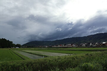 雲と水田