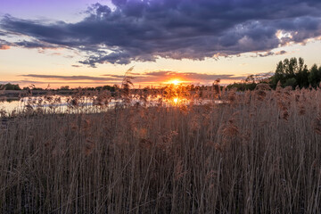 Scenic view at beautiful spring sunset with reflection on a shiny lake with green reeds, bushes, grass, golden sun rays, calm water ,deep blue cloudy sky , glow on background, spring evening landscape