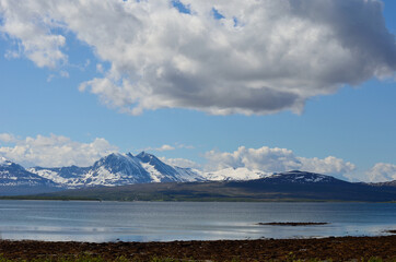 snowy mountain, blue fjord and sky in summer