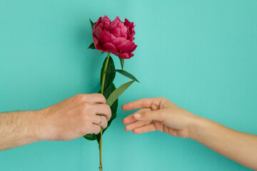 hand of a man holding a purple peony and hand of a woman trying to take it