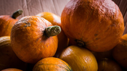 still life with pumpkins