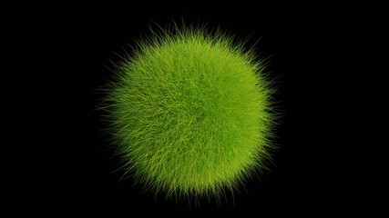 Une sphère d'herbe isolée