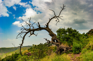 It's Nature of Ethiopia, Africa