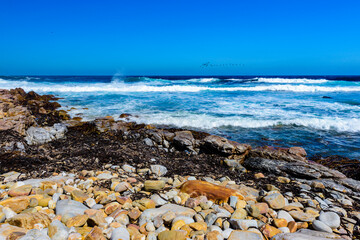 Fototapeta na wymiar It's South African coast near the Cape of the Good Hope
