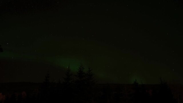 aurora borealis on star filled night sky