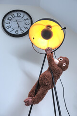 a nice sweet and beautiful stuffed animal hangs in a lamp the cuddly toy is an orangutan that gives a homely child-friendly decorated home feeling