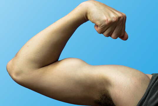 Man's arm showing biceps muscle © Jon Sebastian