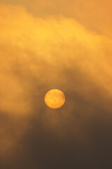 yellow sky with the sun