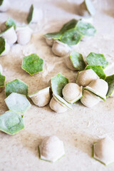 raw two-tone white and green dumplings with spinach, cheese or meat on a table