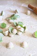 raw two-tone white and green dumplings with spinach, cheese or meat on a table