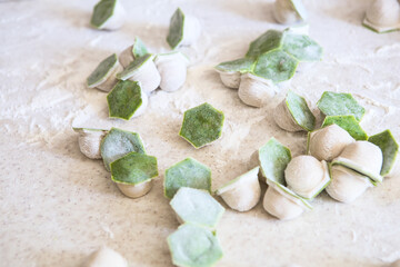raw two-tone white and green dumplings with spinach, cheese or meat on a table