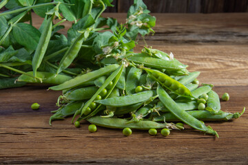 a branch of green peas with pods on a wooden table close-up, harvest from the garden