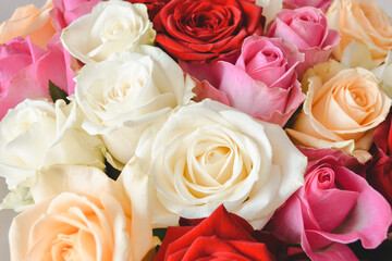 Roses background with red, white, orange and pink flowers In pastel colours