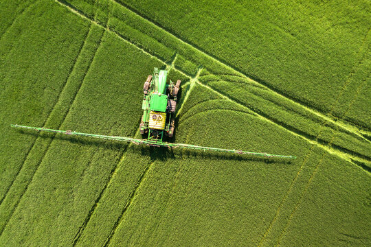 Tractor spraying chemical pesticides with sprayer on the large green agricultural field at spring.