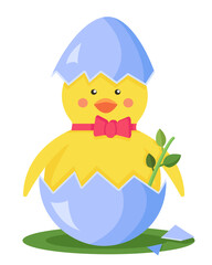 Cute yellow chicken in a broken blue egg.  Easter newborn chick. Isolated on white background. Vector illustration. cartoon style. For design, web, graphic. Funny animal. Celebration farm bird. 