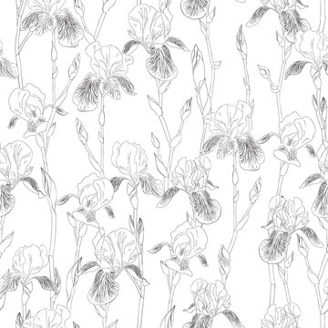 Ink, pencil, black and white iris flowers seamless pattern. Hand drawn nature painting. Freehand sketching illustration.