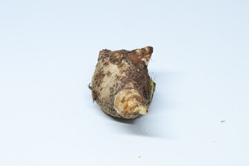 Taro or Colocasia esculenta on isolated white background.