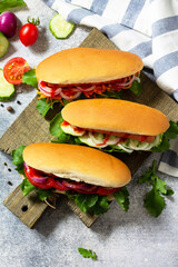 Fast food. Hot dog with barbecue grilled sausage and fresh vegetables on a light stone or slate table.