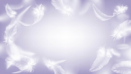 Fototapeta na wymiar Flying white feathers of a bird or angel, lightness and tenderness background