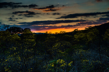 Sunset in the guayacanes forest