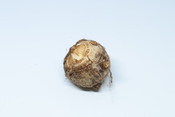 
Taro or Colocasia esculenta on isolated white background.

