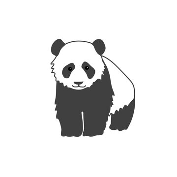 A big  kind panda. Cute black and white bear