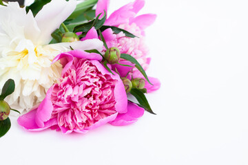 White and pink peonies and buds on a white background. Bouquet of fresh flowers