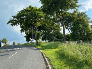 Fototapeta na wymiar Main road, leading from Bradford to Wilsden, with old trees and grasses on the roadside.