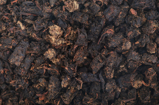 Granular tea plant natural macro texture background