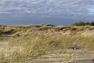 dunes in the dunes