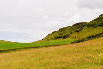 Fototapeta premium Carrick-a-Rede, Causeway Coast Route, National Trust. Northern Ireland