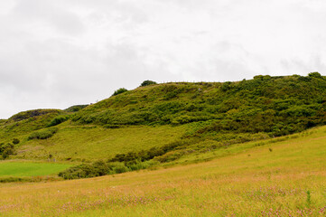 Obraz premium Beautiful view of Carrick-a-Rede, Causeway Coast Route, National Trust. Northern Ireland
