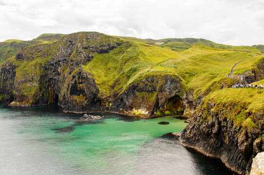 Nature of Carrick-a-Rede, Causeway Coast Route, National Trust. Northern Ireland