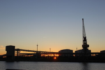 cranes at sunset