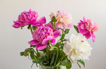 Obraz na płótnie Canvas bouquet of pink and white peonies blooming