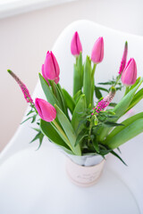 Beautiful fresh bright pink tulips, place for text.