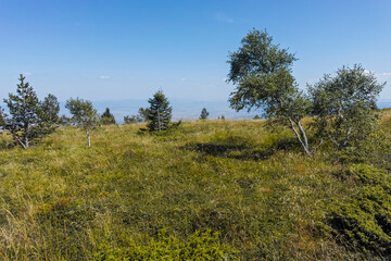 Obraz premium Autumn view of Vitosha Mountain, Sofia City Region, Bulgaria