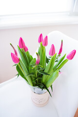 Beautiful fresh bright pink tulips, place for text.