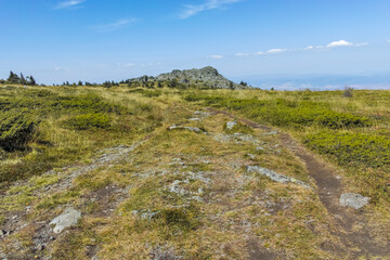 Autumn view of Vitosha Mountain, Sofia City Region, Bulgaria