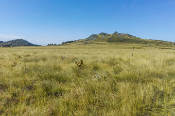 Obraz premium Autumn view of Vitosha Mountain, Sofia City Region, Bulgaria
