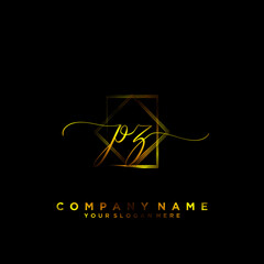 PZ Initial handwriting logo vector	
