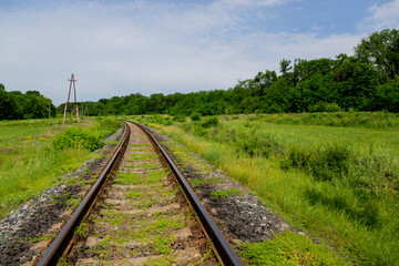 Obraz premium Summer landscape with a railway and an oak grove