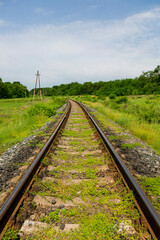 Fototapeta na wymiar Summer landscape with a railway and an oak grove
