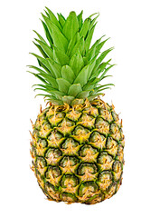 Fototapeta premium Pineapple isolated on white background with clipping path