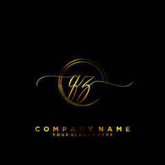 QZ Initial handwriting logo vector	
