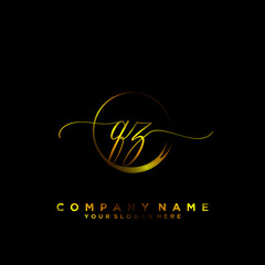 QZ Initial handwriting logo vector	

