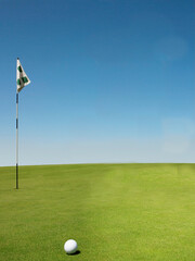 Obraz premium Golf ball on Putting Green
