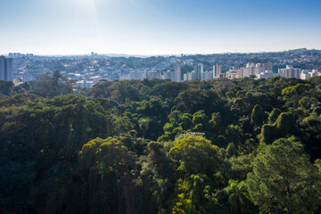 Obraz premium trees of the Jequitibas forest in Campinas with city in the background, Sao Paulo, Brazil