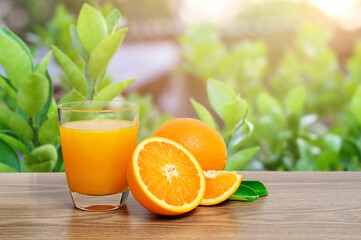 Orange juice and orange slices and green leaves on wooden table with blurred green leaf background.