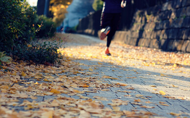 Selective focus on bright yellow ginkgo leaf litter on a sidewalk with a jogger's legs visible in the background